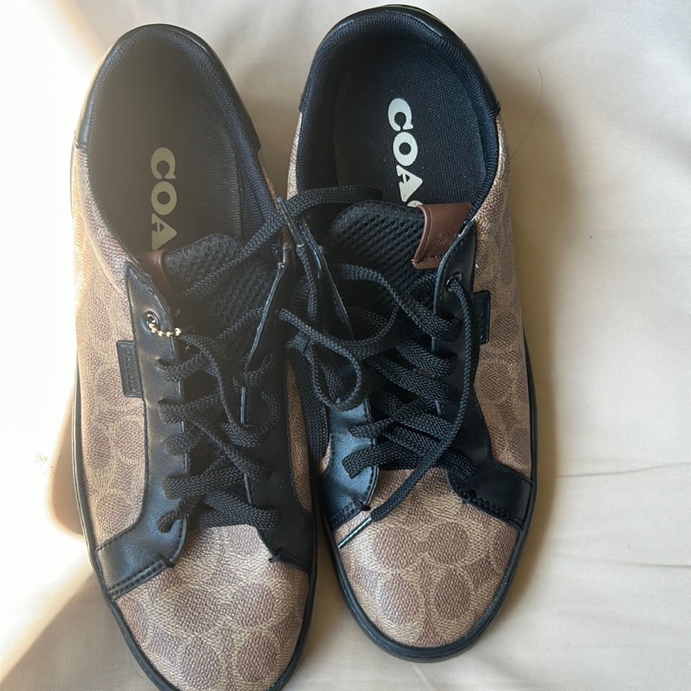 Lowline Low Top Sneaker In Signature Canvas